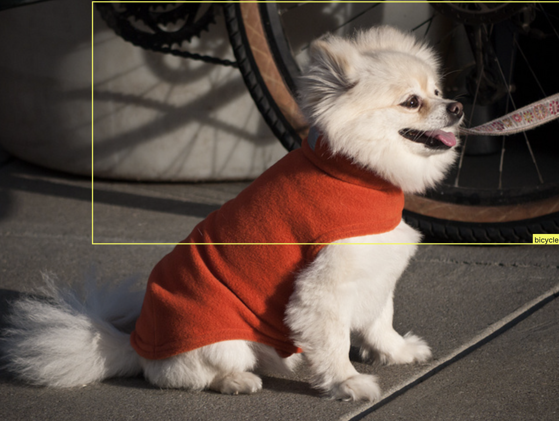 Example image from instance segmentation dataset.